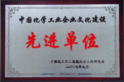 中国化学工业开云官方站入口建设先进单位